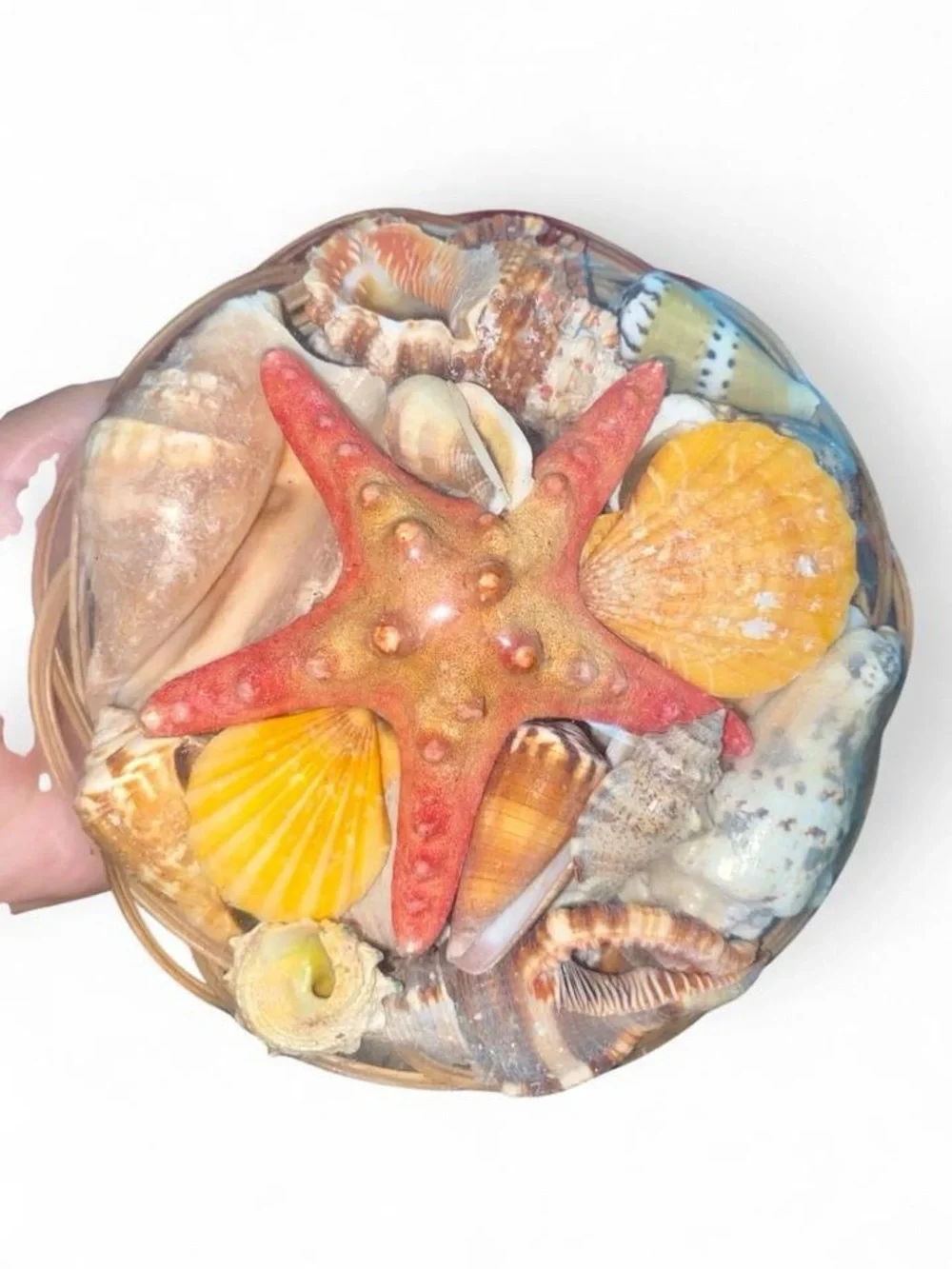 Collectible seashell basket